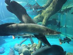 -多彩贵州城极地海洋世界