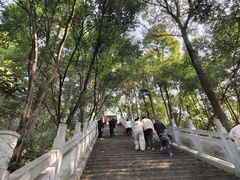 -成都老君山