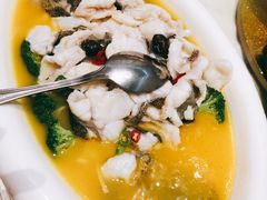 酸汤龙胆鱼-新悦·霞浦海鲜生(上下杭店)