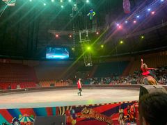 -俄罗斯国家大马戏团