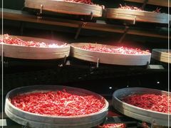 -九锅一堂酸菜鱼(新南凯德直营店)