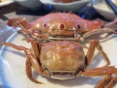 -争先鲜·蒸汽海鲜自助·鲜切牛肉
