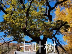 -潭柘寺景区