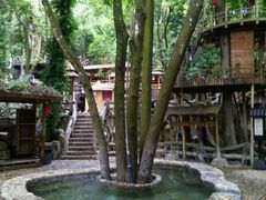 -天门沟九州驿站树上汤泉