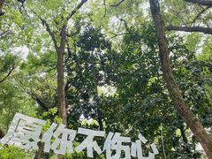 -杭州植物园