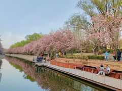 -大望京公园
