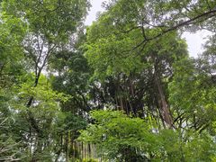 -晓港公园