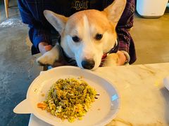-the rug 飞毯 (朝阳公园店)