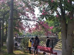 -广州大学华软软件学院新闻中心