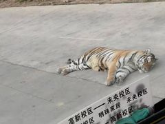 -西安秦岭野生动物园