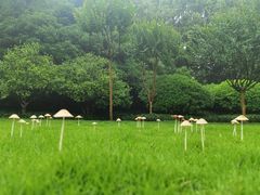 -杭州城北体育公园