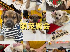 -北京华联购物中心(天通苑店)