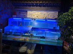 -焦亮烧烤海鲜(三原店)