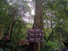 -青城山
