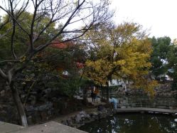 -苏州大学附属儿童医院(景德路院区)