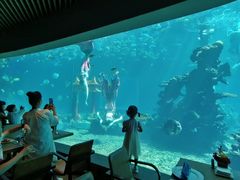 -涛·海底餐厅·美人鱼·自助餐·海底隧道(三亚海棠湾洲际度假酒店)