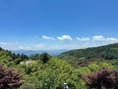 -溪口商量岗景区
