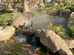 -罗红摄影艺术馆