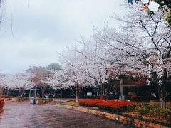 -玉山公园