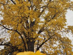 -金堂县云顶石城风景区