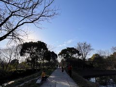 -西溪国家湿地公园