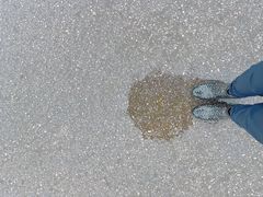 -上海滨江森林公园