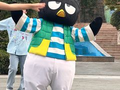 -安吉Hello Kitty乐园