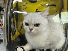 -FAELING PETS美天灵宠物(富力广场店)