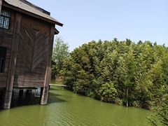-泗洪洪泽湖湿地景区