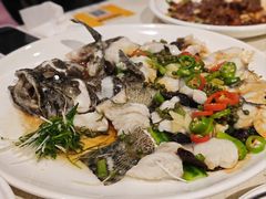 鲜花椒蒸龙趸鱼-任兴记(定西路店)