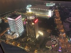 -金轩中餐厅 Jin Xuan(浦东丽思卡尔顿酒店)