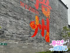 -正宗梧州牛肠酸