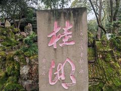 -桂湖森林公园