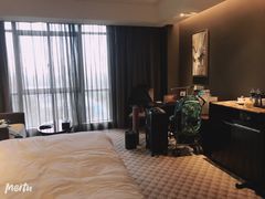 -常州环球恐龙城维景国际大酒店