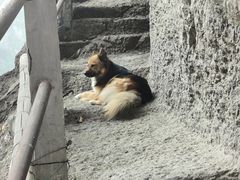 -东南悬空寺方广岩