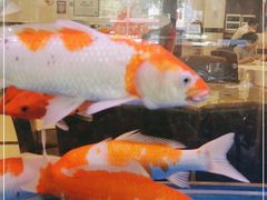 -新塘畔酒楼(里水大道北店)