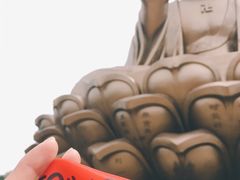 -龙口南山旅游景区