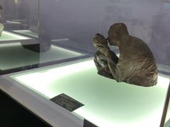 -福州长乐国际机场