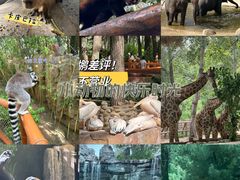 -北京野生动物园