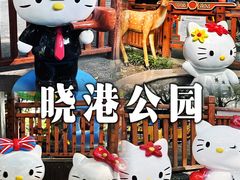 -晓港公园