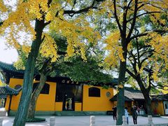 -西园戒幢律寺