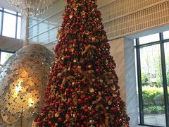 -上海虹桥西郊假日酒店