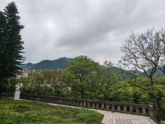 -西南政法大学(沙坪坝校区)