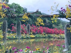 -深圳仙湖植物园