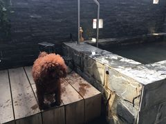 -北京美神宫艺术主题温泉酒店