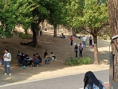-牛岗山公园