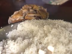 -大亚湾红树林城市湿地公园
