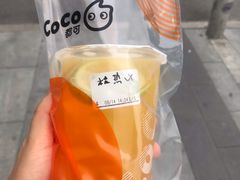 -CoCo都可(双井家乐福店)