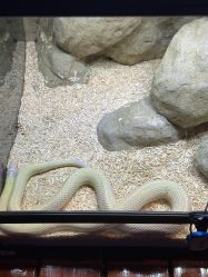 -酷嗒动物文化乐园(cutezoo西溪乐天城店)