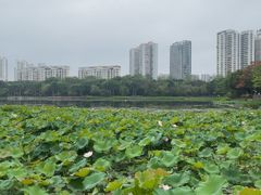 -南宁南湖公园